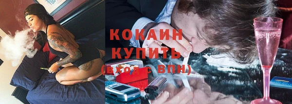 ешки Арсеньев