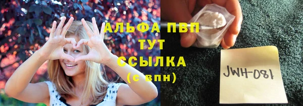 ешки Арсеньев