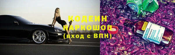 ешки Арсеньев
