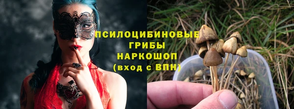 ешки Арсеньев